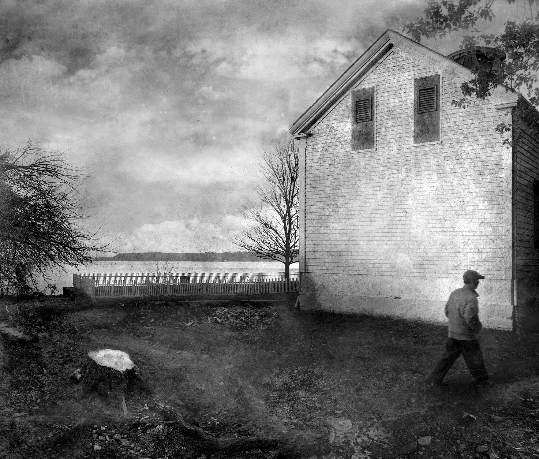 David Douglas - Mixed Media Artist | Iris Gallery | Contemporary